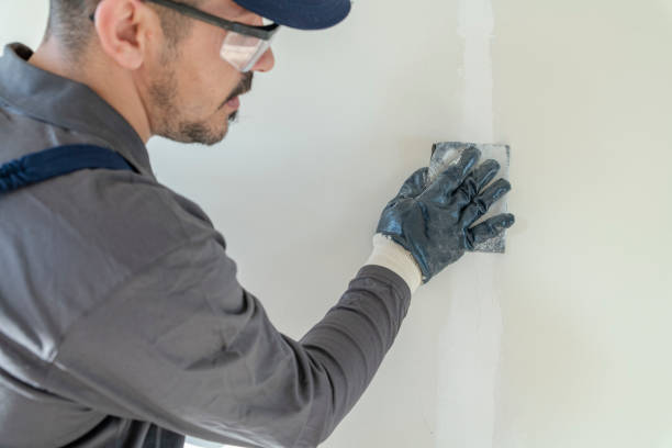 Best Drywall Removal and Disposal  in San Castle, FL