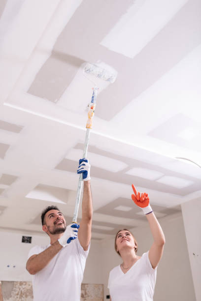 Best Ceiling Drywall Installation  in San Castle, FL